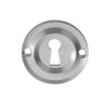 Delamain Classic Standard Profile Escutcheon, Satin Chrome