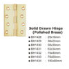 Solid Drawn Hinge(Polished Brass) -100X60Mm