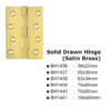 Solid Drawn Hinge(Satin Brass) -50X30Mm