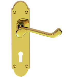 Oakley Door Handles On Backplate, Pvd Stainless Brass (Sold In Pairs)