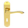 Andros Door Handles On Backplate, Polished Brass (Sold In Pairs)