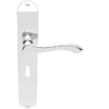 Andros Door Handles On Long Backplate, Polished Chrome (Sold In Pairs)