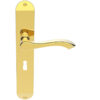 Andros Door Handles On Long Backplate, Polished Brass (Sold In Pairs)