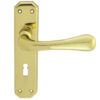 Eden Door Handles On Backplate, Polished Brass (Sold In Pairs)