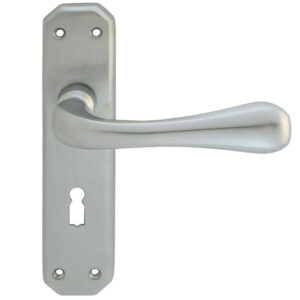 Eden Door Handles On Backplate, Satin Chrome (Sold In Pairs)