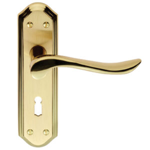 Lytham Door Handles On Backplate, Dual Finish Polished Brass & Satin Brass (Sold In Pairs)