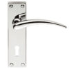 Wing Door Handles On Backplate, Polished Chrome (Sold In Pairs)