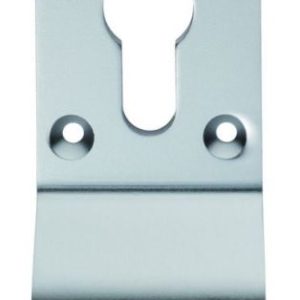 ECP9000SAA - Carlisle Brass Cylinder Pull Euro Profile Aluminium