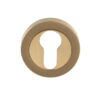 Euro Profile Escutcheon, Satin Brass