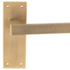 Sasso Door Handles On Slim Backplate, Antique Brass (Sold In Pairs)