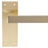 Sasso Door Handles On Slim Backplate, Satin Brass (Sold In Pairs)