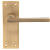 Trentino Door Handles On Slim Backplate, Antique Brass (Sold In Pairs)