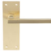 Trentino Door Handles On Slim Backplate, Satin Brass (Sold In Pairs)