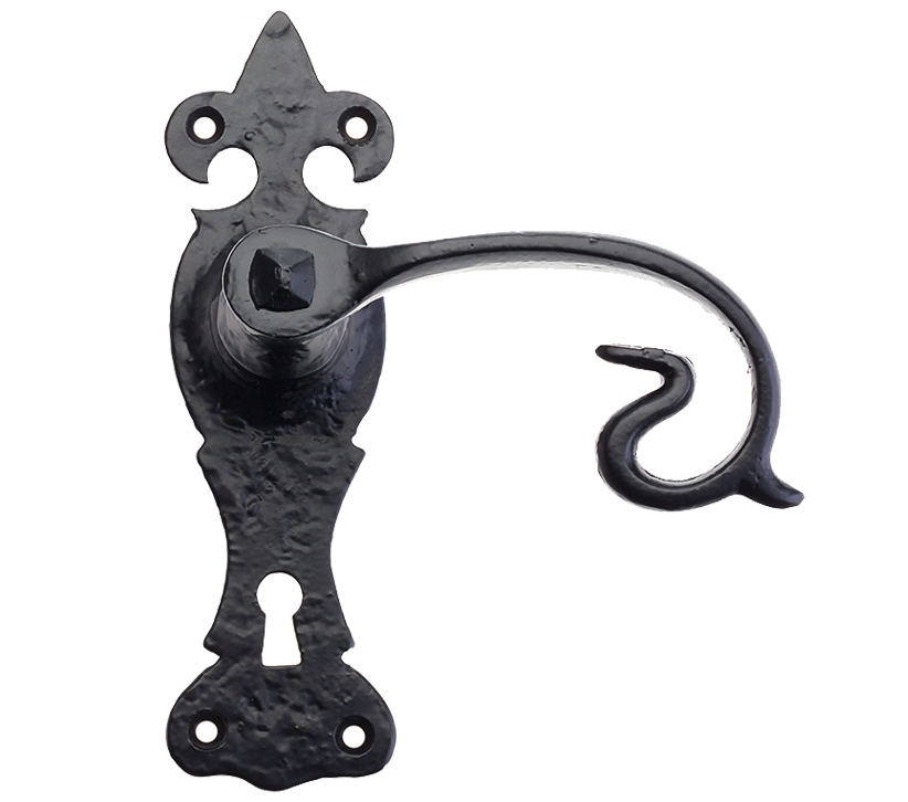 Fleur De Lys Door Handles On Backplate