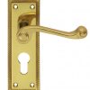 Carlisle Brass FG1Y Georgian Lever On Backplate - Lock Euro Profile 47.5mm C/C Polished Brass