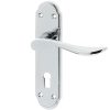 Henley Door Handles On Backplate