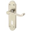 Sherborne Door Handles On Backplate