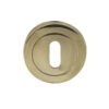 Frelan Hardware Standard Profile Escutcheon, Pvd Stainless Brass