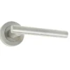 Petra Door Handle On Rose Satin Nickel