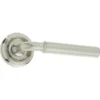 Elise Door Handle On Rose Satin Nickel