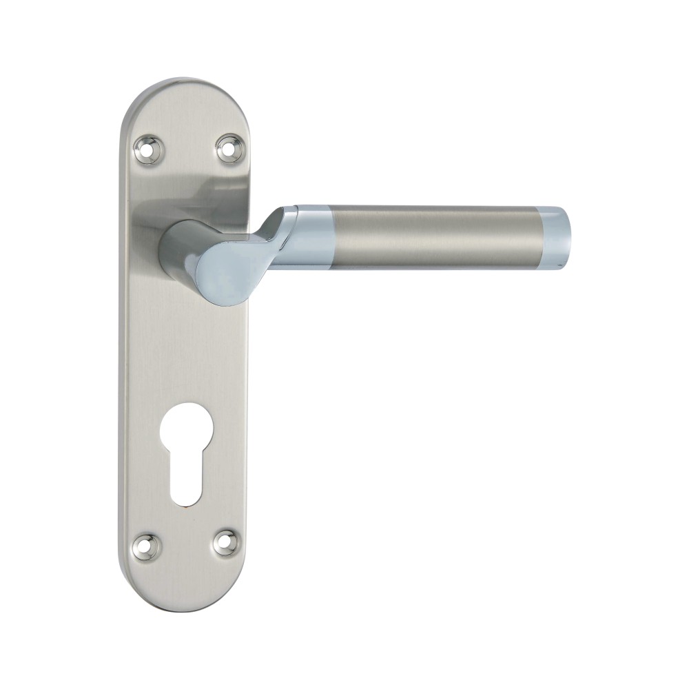 Lever Lock On Back Plate 170Mm X 40Mm X 125Mm