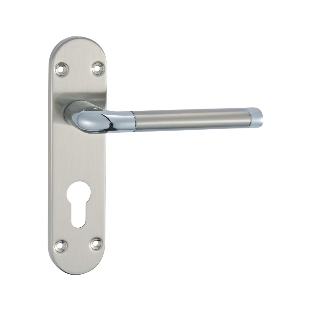 Lever Lock On Back Plate 170Mm X 40Mm X 125Mm