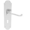 Victorian Scroll Door Handles On Shaped Backplate, Satin Chrome (Sold In Pairs)