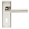 Serozzetta Residential Sessanta Door Handles On Backplate, Dual Finish Polished Nickel & Satin Nickel (Sold In Pairs)