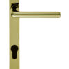 Rosa Narrow Plate, 92Mm C/C, Euro Lock, Pvd Stainless Brass Door Handles (Sold In Pairs)