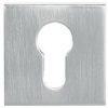 Atlantic Tupai Rapido Curva/Quadraline Square Euro Profile Escutcheon, Satin Chrome - TESCESSC (sold in pairs)