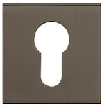 Atlantic Tupai Rapido Curva/Quadraline Square Standard Profile Escutcheon, Titanium - TESCKSTT (sold in pairs)