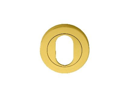 CARLISLE BRASS - AA2 ESCUTCHEON - OVAL PROFILE ON CONCEALED FIX ROUND ROSE