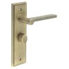 Fitzrovia Door Handle Bathroom Backplate Antique Brass & Turn & Release