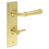 Highgate Door Handle Din Bathroom Backplate Satin Brass & Turn & Release