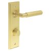 Piccadilly Door Handle Bathroom Din Backplate Satin Brass & Turn & Release