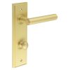 Richmond Door Handle Din Bathroom Backplate Satin Brass & Turn & Release