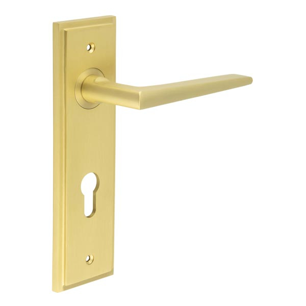 Mayfair Door Handle Din Euro Backplate Satin Brass