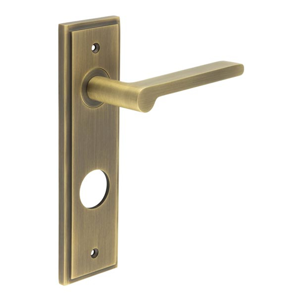 Fitzrovia Door Handle Din Bathroom Backplate Antique Brass