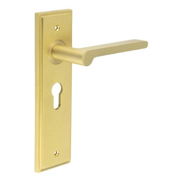 Fitzrovia Door Handle Euro Backplate Satin Brass