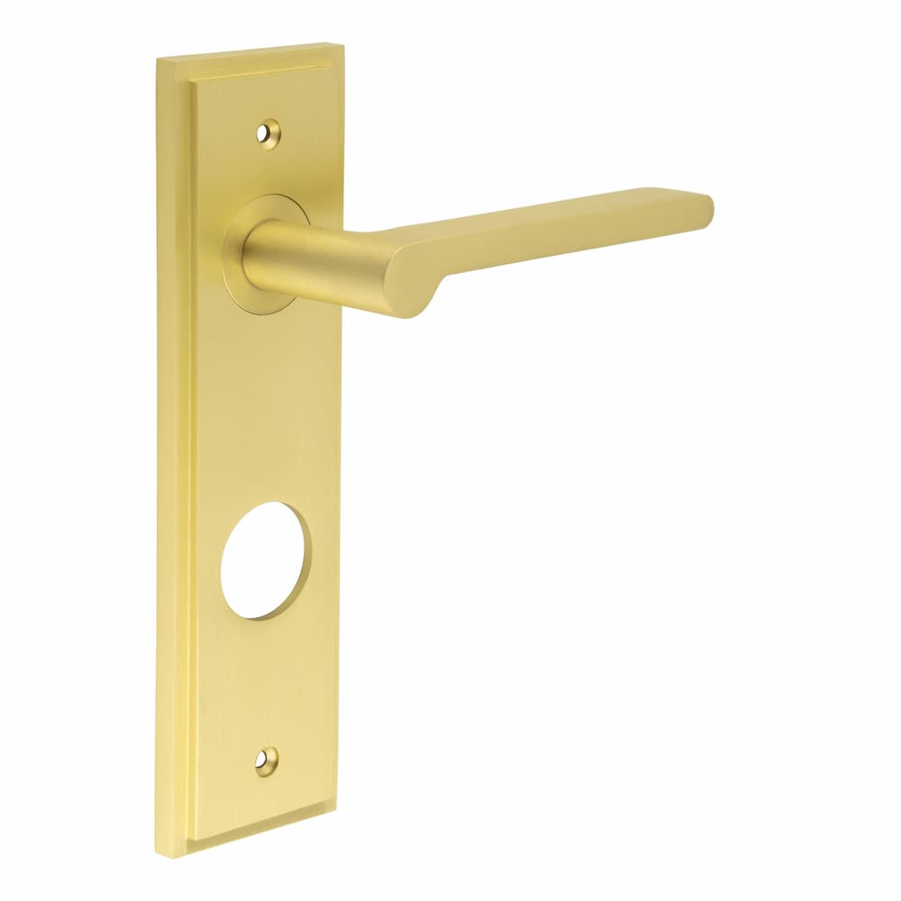 Fitzrovia Door Handle Din Bathroom Backplate Satin Brass