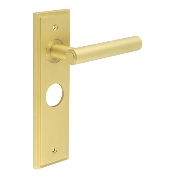 Richmond Door Handle Bathroom Backplate Satin Brass