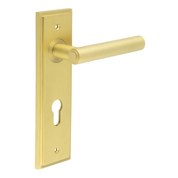 Richmond Door Handle Din Euro Backplate Satin Brass