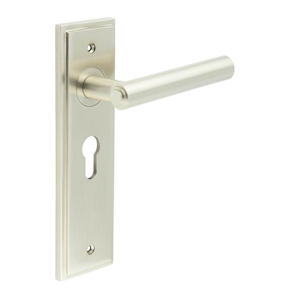 Richmond Door Handle Euro Backplate Satin Nickel