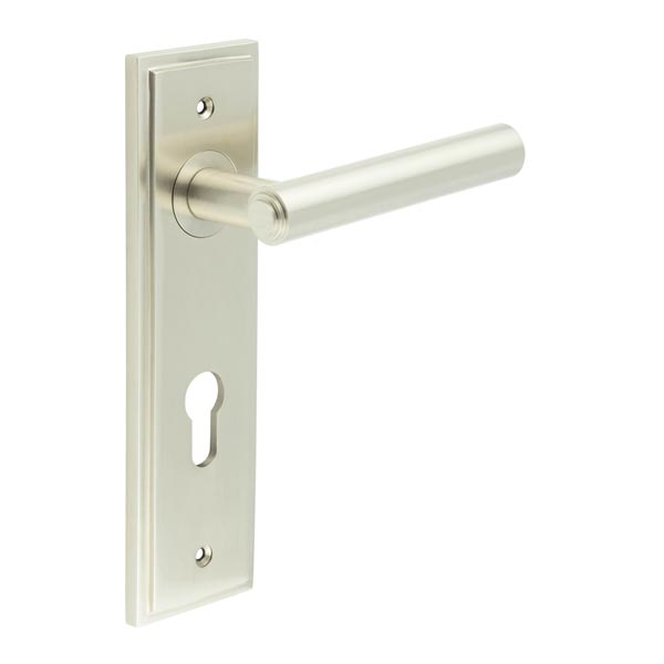 Richmond Door Handle Din Euro Backplate Satin Nickel