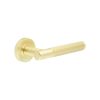 Venice Satin Brass Lever on rose