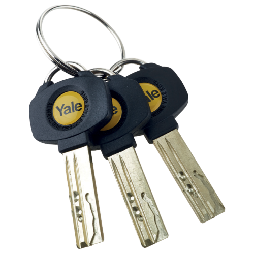 YALE PLATINUM 3 STAR 45/55 (100MM) NICKEL